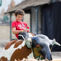 bull 1755878176 Mechanical Bull