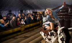 Screenshot 4 9 2025 112354 1770905512 Mechanical Bull